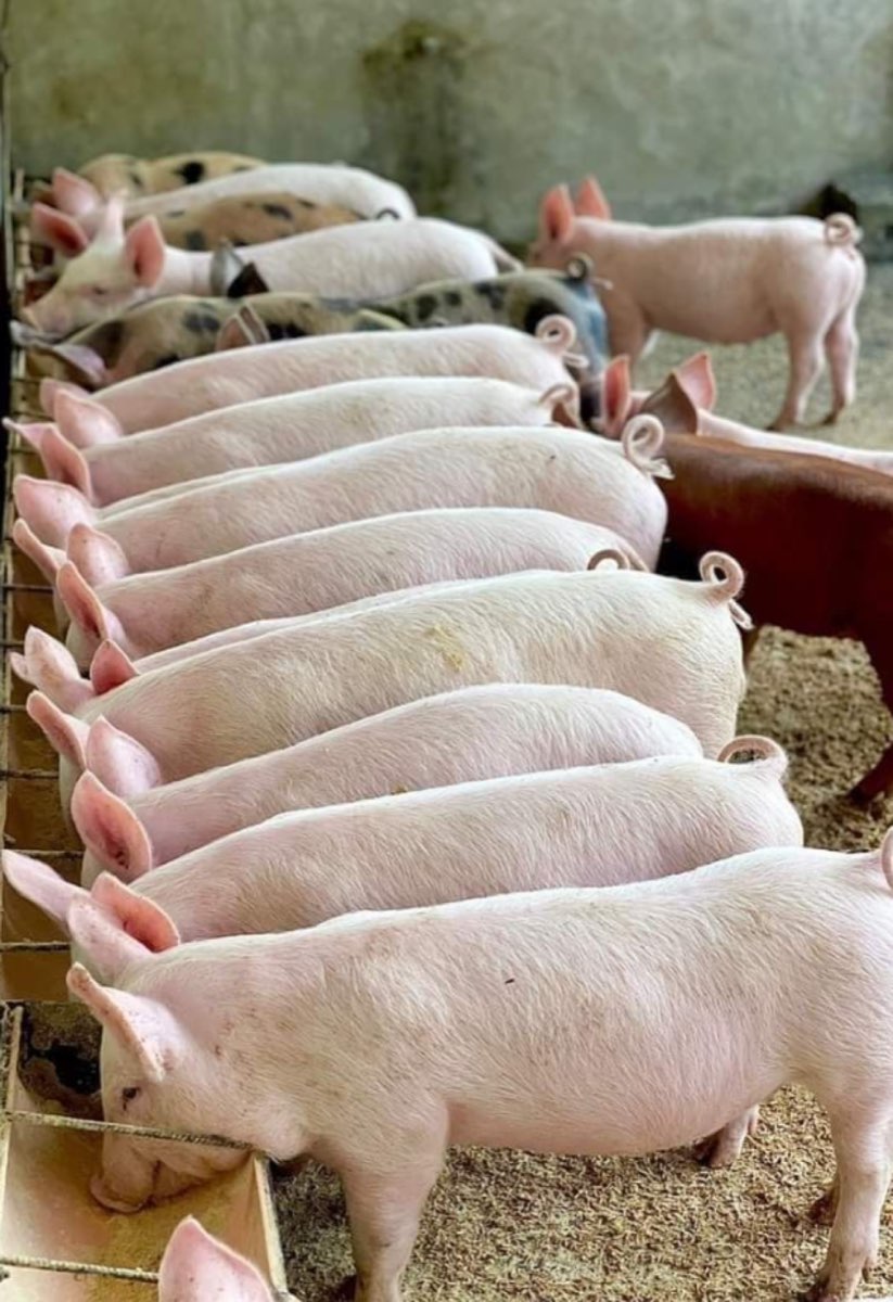 Digital tracking dashboard